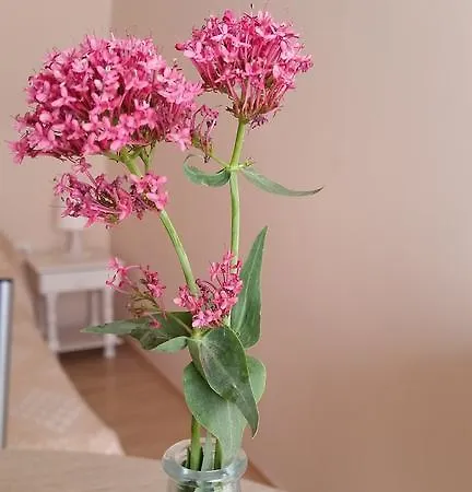 Lägenhet Boglarka *